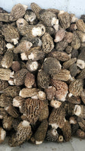 Load image into Gallery viewer, California Orchard Morel Mushrooms - Pacific Wild Pick
