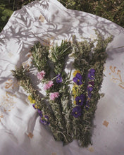 Load image into Gallery viewer, Dried Mugwort Leaves - Brewing Quality - Pacific Wild Pick