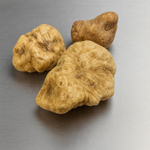 Load image into Gallery viewer, Fresh Alba White Truffle (Tuber Magnatum Pico) - Pacific Wild Pick