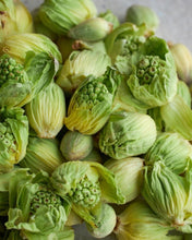 Load image into Gallery viewer, Fresh Fukinoto - Pacific Wild Pick