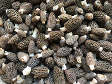 Load image into Gallery viewer, Fresh Himaleyan Morels 2025 - Pacific Wild Pick