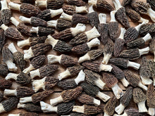 Load image into Gallery viewer, Fresh Himaleyan Morels 2025 - Pacific Wild Pick
