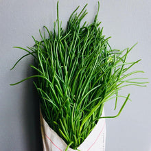 Load image into Gallery viewer, Fresh Italian Agretti - Chef Special - Pacific Wild Pick