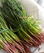 Load image into Gallery viewer, Fresh Italian Agretti - Chef Special - Pacific Wild Pick