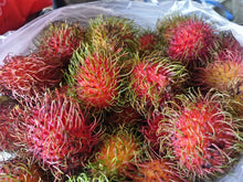 Load image into Gallery viewer, Fresh Rambutan Fruit - Pacific Wild Pick
