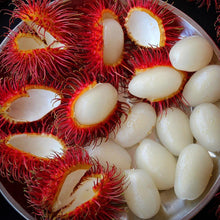 Load image into Gallery viewer, Fresh Rambutan Fruit - Pacific Wild Pick