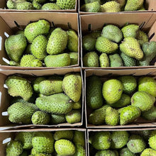 Load image into Gallery viewer, Fresh Soursop Exotic Fruit - Pacific Wild Pick