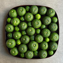 Load image into Gallery viewer, Fresh Sudachi from Japan 酢橘 - Pacific Wild Pick