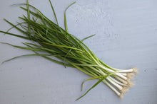 Load image into Gallery viewer, Fresh Wild Spring Onion 2026 - Pacific Wild Pick