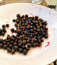 Load image into Gallery viewer, Frozen Black Currant - Next Day Shipping - Pacific Wild Pick