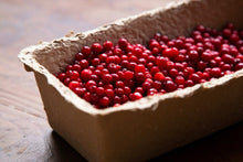 Load image into Gallery viewer, Frozen Lingonberries - Mountain Cranberry - Pacific Wild Pick