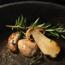 Load image into Gallery viewer, Frozen Porcini mushroom - Pacific Wild Pick