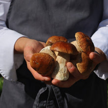 Load image into Gallery viewer, Frozen Porcini mushroom - Pacific Wild Pick