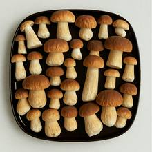 Load image into Gallery viewer, Frozen Porcini Mushrooms - 2lb - Pacific Wild Pick