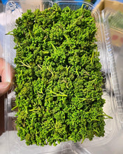 Load image into Gallery viewer, Hana Sansho Flower Pepper - Pacific Wild Pick