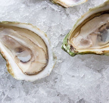 Load image into Gallery viewer, Irish Point Oysters - In Shell - Pacific Wild Pick