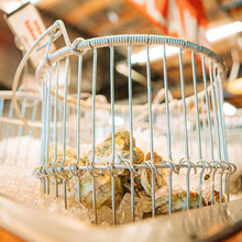Load image into Gallery viewer, Irish Point Oysters - In Shell - Pacific Wild Pick
