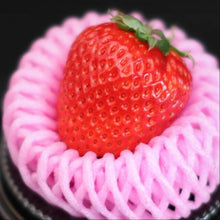 Load image into Gallery viewer, Japan Nara Strawberry - Pacific Wild Pick