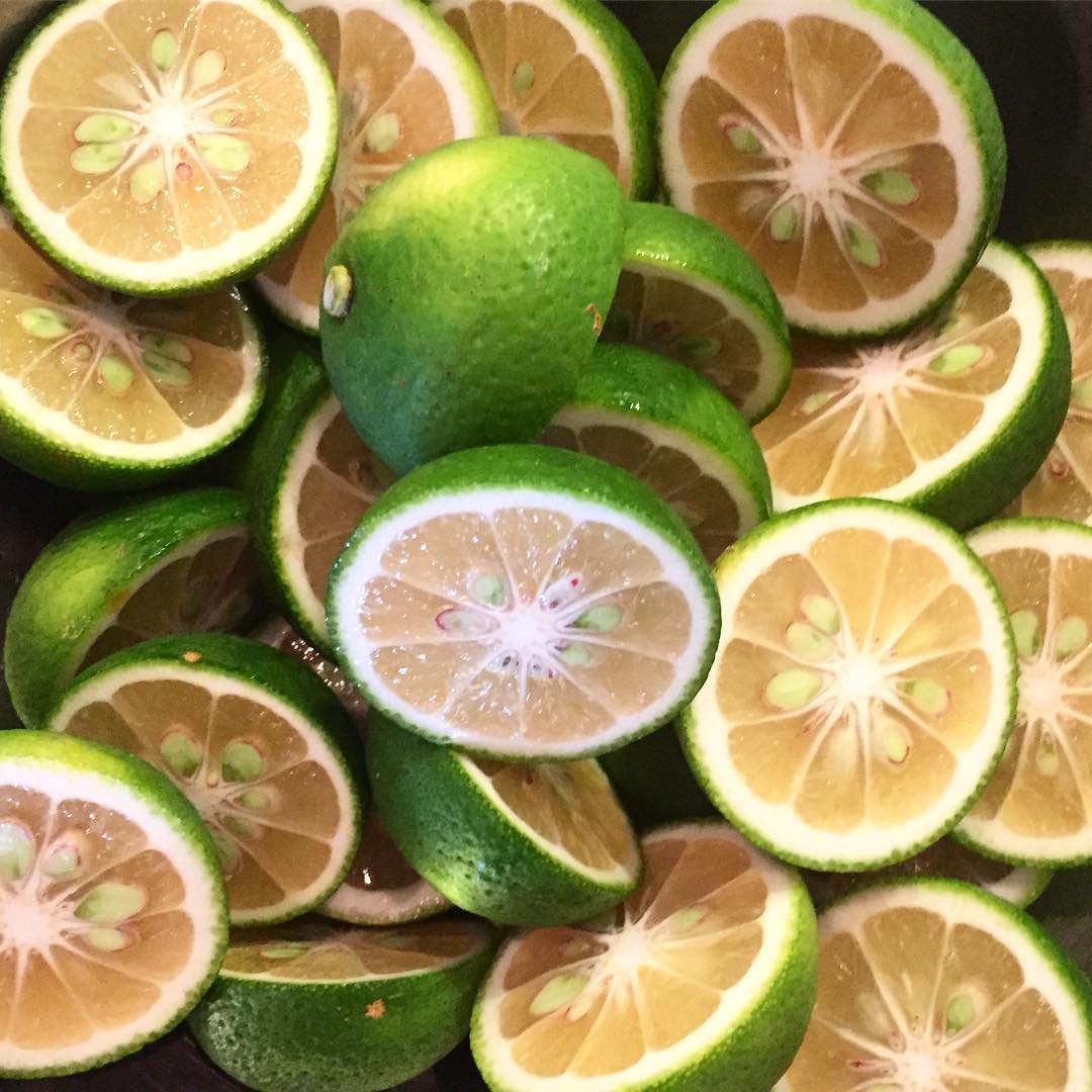 Kabosu Fruit 種無しカボス - Pacific Wild Pick