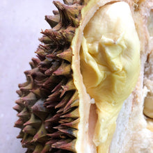 Load image into Gallery viewer, King Durian Meat - Fresh - Pacific Wild Pick
