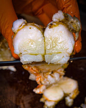 Load image into Gallery viewer, Live Lobster Whole - Next Day Shipping - Pacific Wild Pick