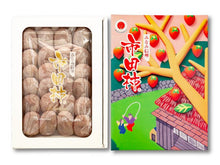 Load image into Gallery viewer, Nagano Prefecture·Ichida Persimmon Gift Box - Pacific Wild Pick