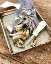 Load image into Gallery viewer, Northern Belle Oysters - LIVE - Pacific Wild Pick