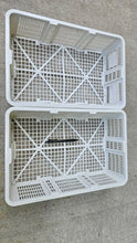 Load image into Gallery viewer, Plastic Mushroom Picking Baskets With Lids - Pacific Wild Pick