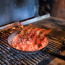 Load and play video in Gallery viewer, Buy fresh B.C spot prawns