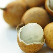 Load and play video in Gallery viewer, Where to buy Longan fruit near me
