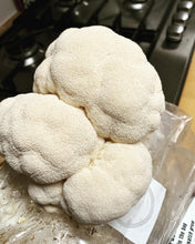 Load and play video in Gallery viewer, How to cook Lions Mane mushroom?