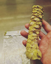 Load and play video in Gallery viewer, Fresh Japanese Wasabi root 山葵