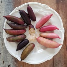 Load and play video in Gallery viewer, Buy green fresh emerald finger lime