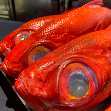 Load and play video in Gallery viewer,  red bream Sushi Quality