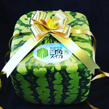 Load and play video in Gallery viewer, Square water melon