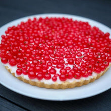 Load image into Gallery viewer, Redcurrent Frozen Berries - Pacific Wild Pick