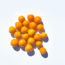 Load image into Gallery viewer, Sea - Buckthorn Oil - Pacific Wild Pick