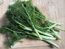 Load image into Gallery viewer, Wild California Fennel - 2026 Harvest - Pacific Wild Pick