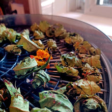 Load image into Gallery viewer, Wild Fermented Tea - 50g - Pacific Wild Pick