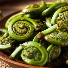 Load image into Gallery viewer, Fiddlehead Ostrich Ferns.