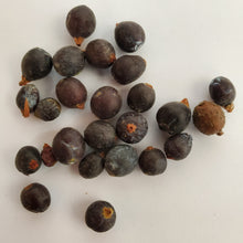 Load image into Gallery viewer, Juniper pacific wild pick