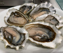 Load image into Gallery viewer, Tasty pacific Oysters
