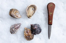 Load image into Gallery viewer, Yummy live oysters