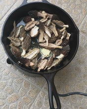 Load and play video in Gallery viewer, Morel Mushroom Wild Pick - Spring/Summer 2025