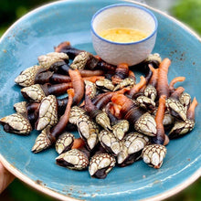 Load image into Gallery viewer, where to harvest Percebes.
