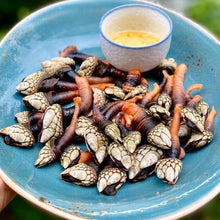 Load image into Gallery viewer, where to harvest Percebes.
