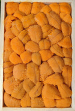 Load image into Gallery viewer, Wild Caught Fresh Sea Urchin