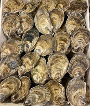 Load image into Gallery viewer, Beausoleil Oysters