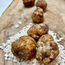 Load image into Gallery viewer, Fresh Bianchetto Truffle.