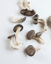 Load image into Gallery viewer, organic local mushroom canada